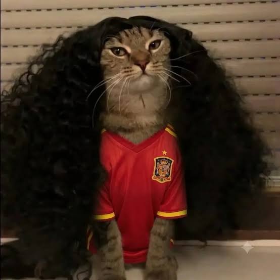 Cucurella Cat meme wearing a curly black wig and red jersey